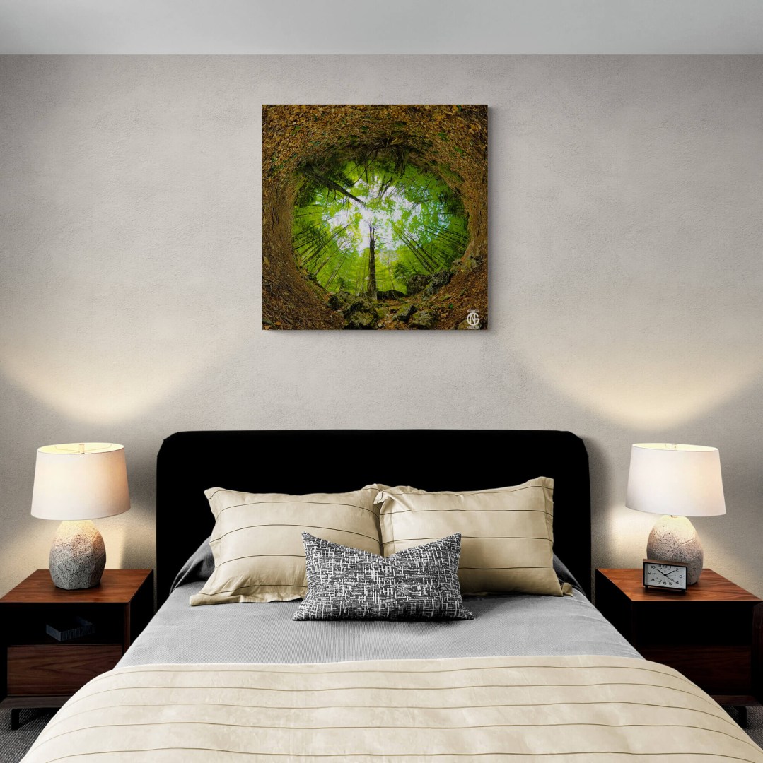 Prionia forest inverted 360° canvas above a cozy bedroom setup.