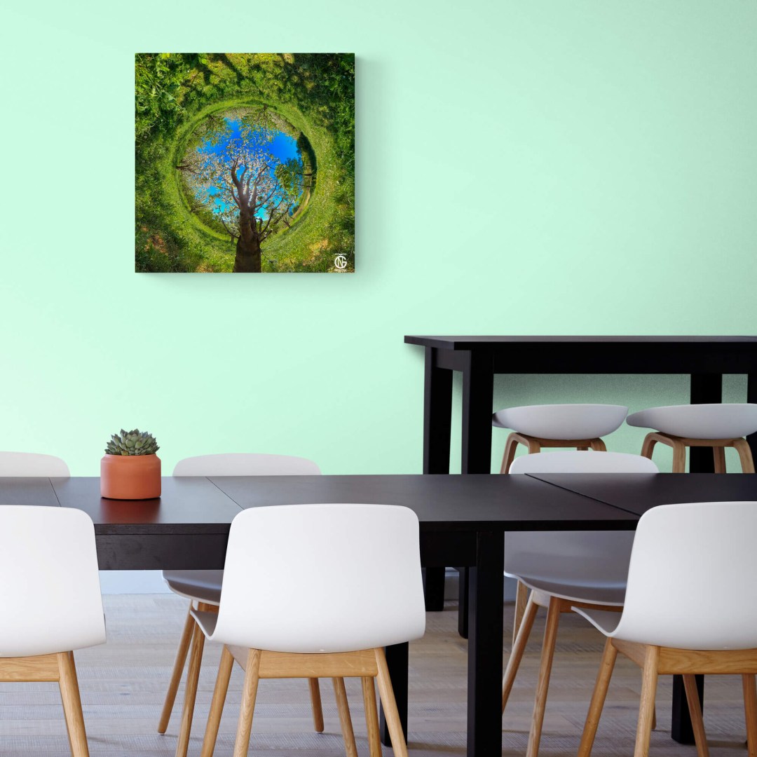 Inverted tiny-planet cherry-orchard canvas mounted in a casual dining area with pastel walls.